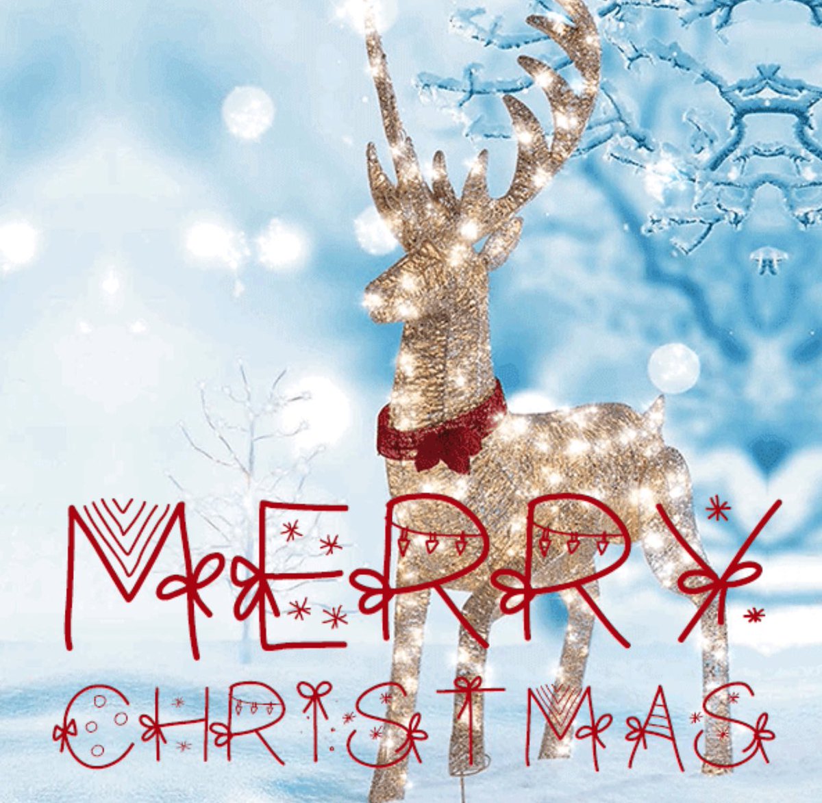 Seth Shikora tweet media