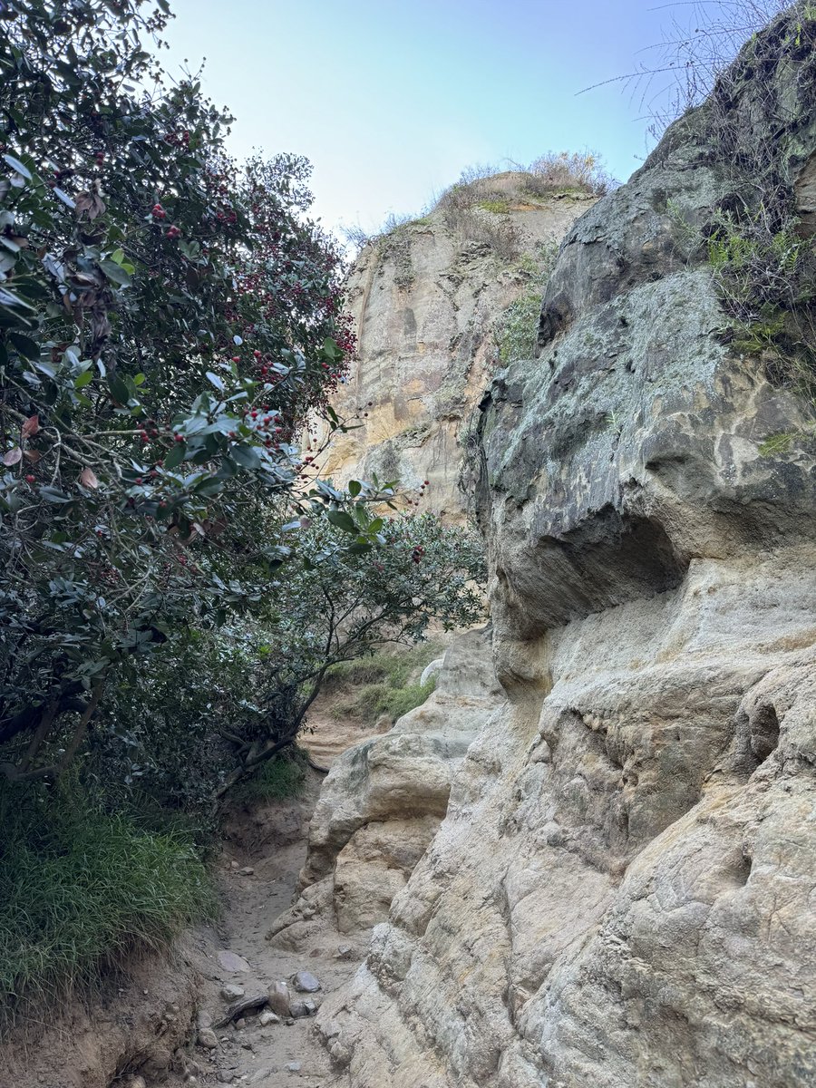 jlukedavisNC's tweet photo. ‘Tis the season to hike something #SanDiego https://t.co/fhVK9yjM8O