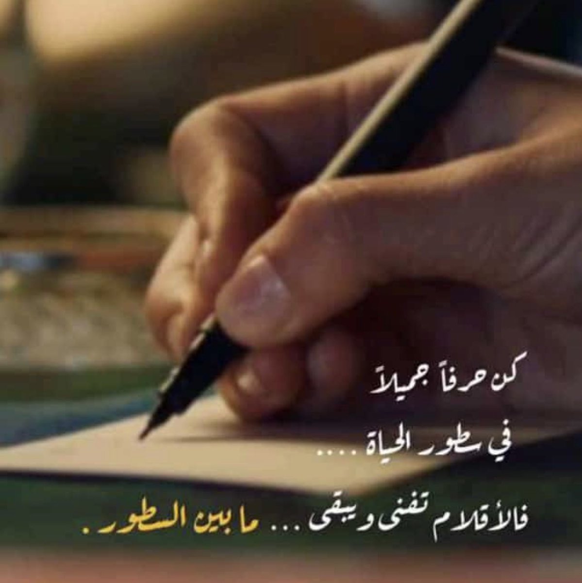 رشيد محمد آل جلي tweet media