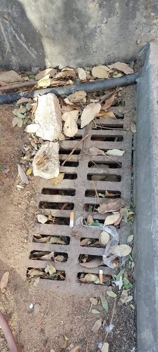 LAS CANALETAS DE RECOGIDA DE AGUAS PLUVIALES.
Que rodean el parque infantil, que hay entre el Walden y el Caprabo de Carretera Real 104, están totalmente embozadas por hojas y tierra. En las próximas lluvias no podrán cumplir su función, por falta de mantenimiento.