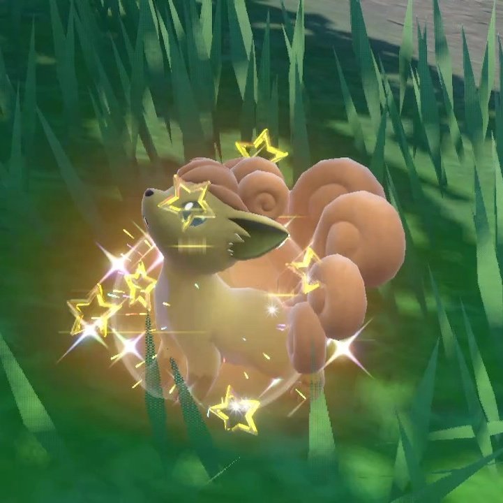 PokemonChief's tweet photo. A happy Christmas for me #ShinyPokemon https://t.co/IQtMXQwzpA
