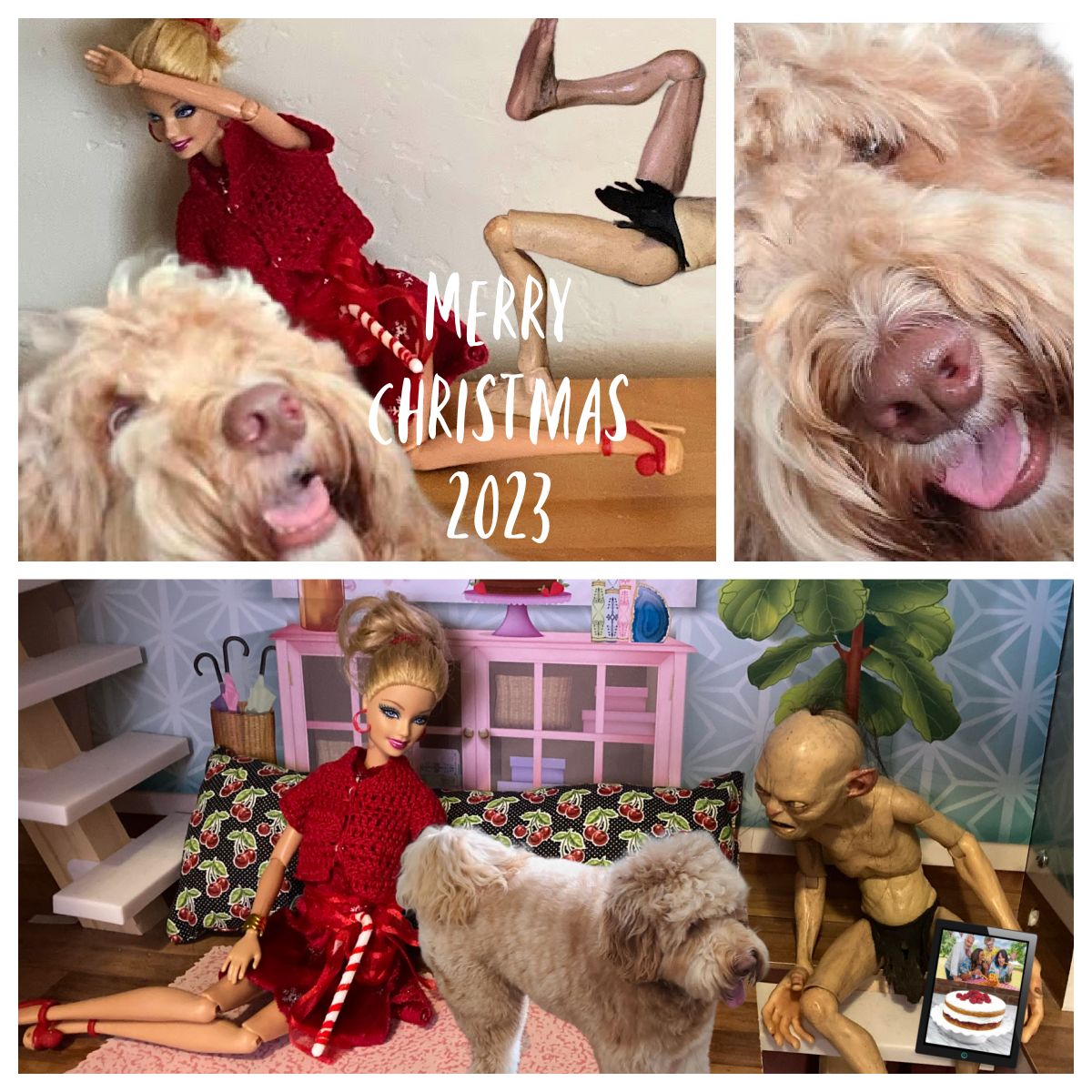 Barbie, Sméagol &amp; Vinnie Surveillance 2023:  The family photo was a challenge, since Vinnie kept trying to eat the camera. Sméagol finally got him to hold still by letting him watch his favorite baking show. Merry Christmas!  #christmas #dogs #barbie #smeagol #gollum