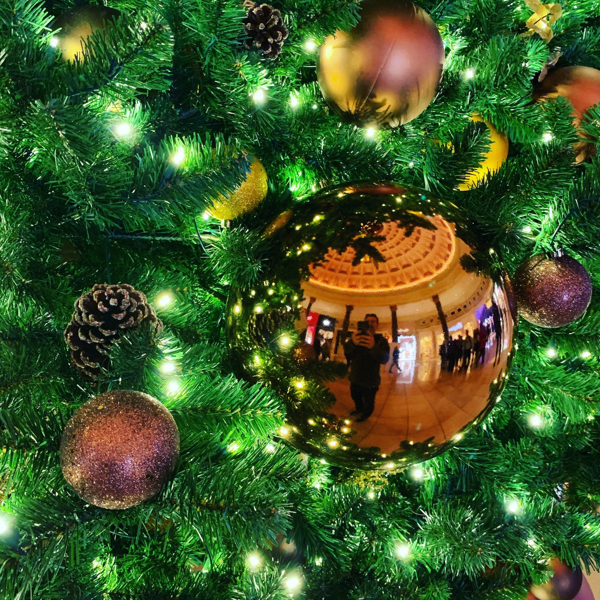 HigherLvtm's tweet image. [CELEBRATE] Happy holidays from Higher Learning LV. 

&amp;gt; Does Santa Claus Use Cannabis?: tinyurl.com/5n84kk9v
&amp;gt; One Santa Uses Cannabis for Cancer: tinyurl.com/3ypv59vk 
&amp;gt; The Molecular Magic of Mistletoe &amp;amp; Marijuana: tinyurl.com/4cyz5mr8

#LearnAndTeachOthers all year.