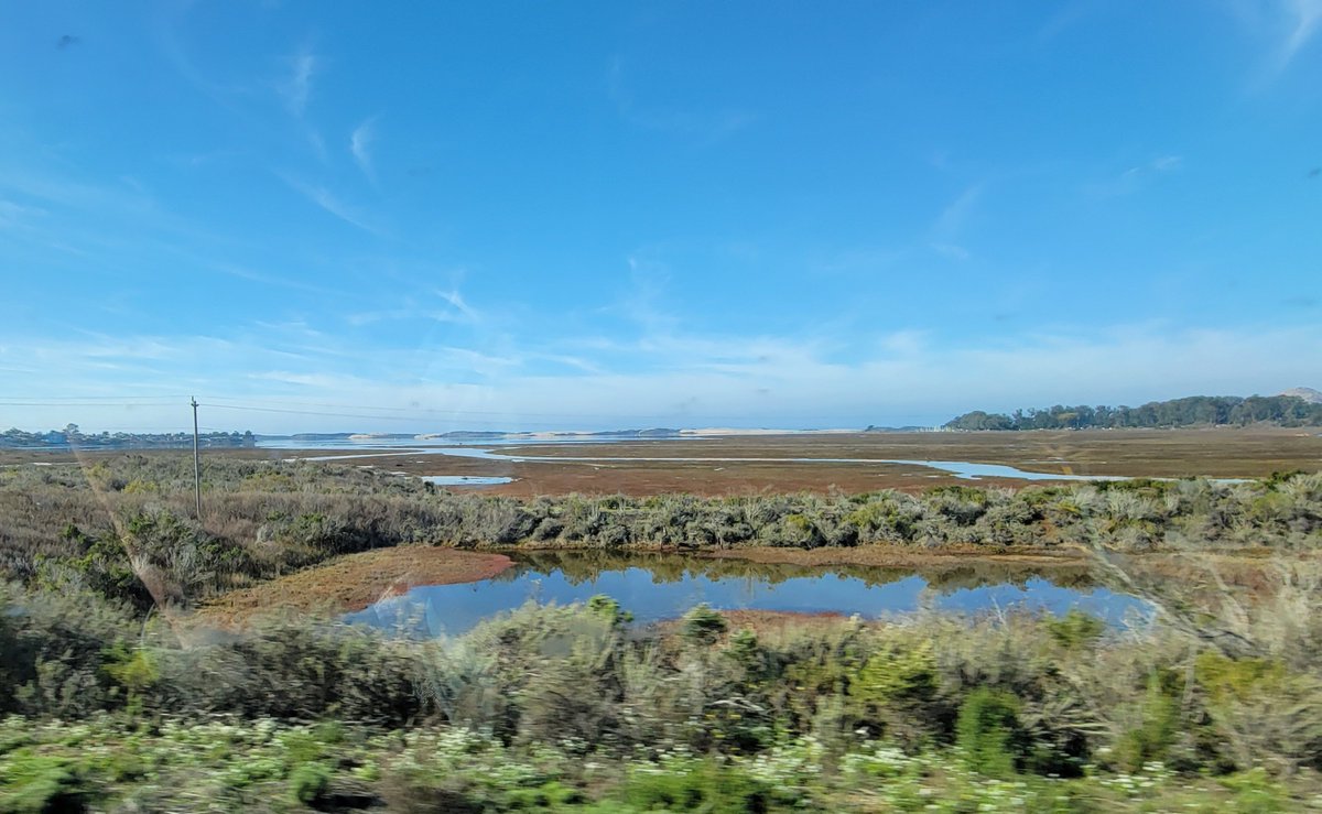 SharasCove's tweet photo. Merry Christmas from the Central California Coast!!! https://t.co/teoZJpeTUa