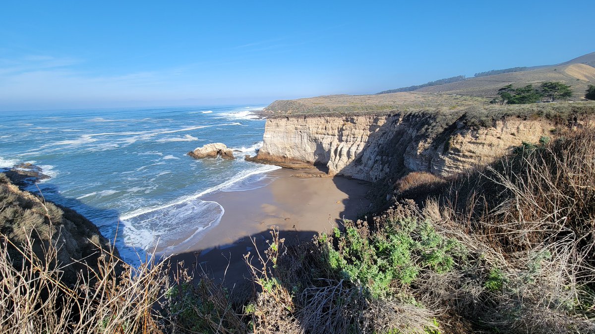 SharasCove's tweet photo. Merry Christmas from the Central California Coast!!! https://t.co/teoZJpeTUa