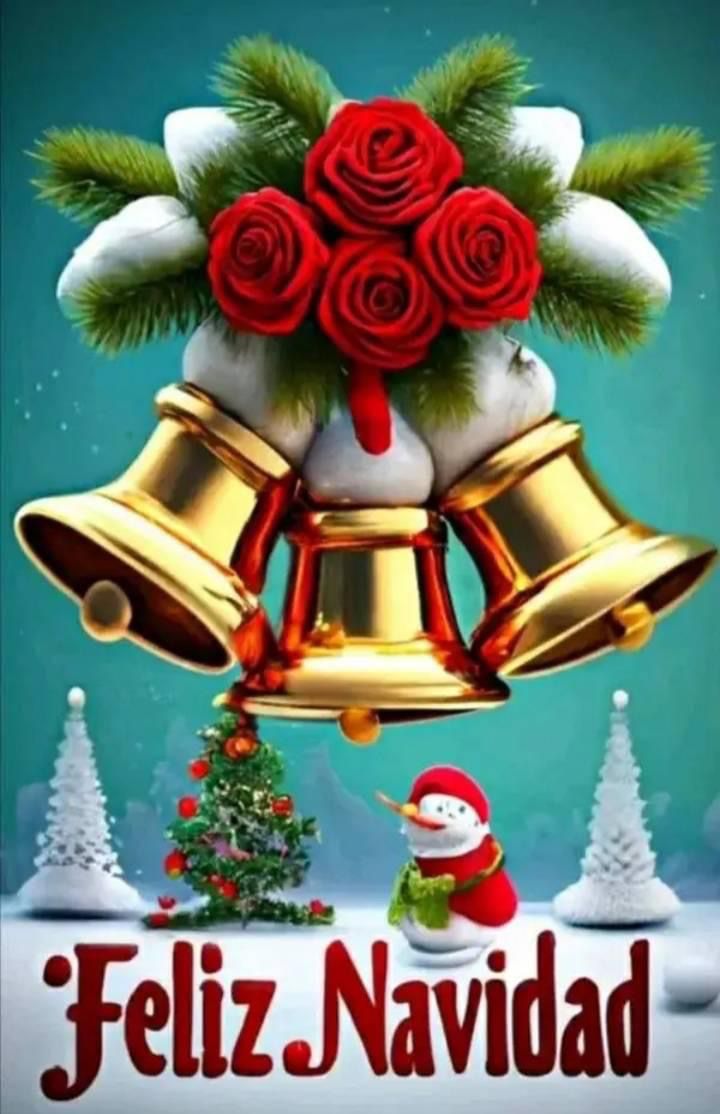 Donroquer's tweet image. Feliz Navidad 🎄🥳