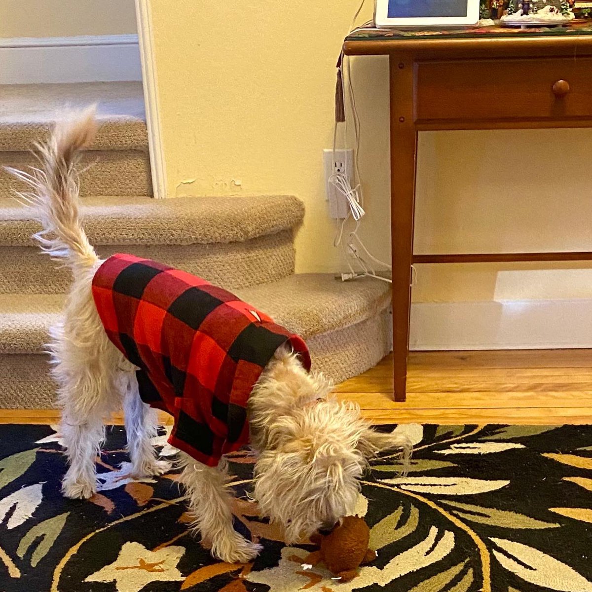 A very daughter Christmas