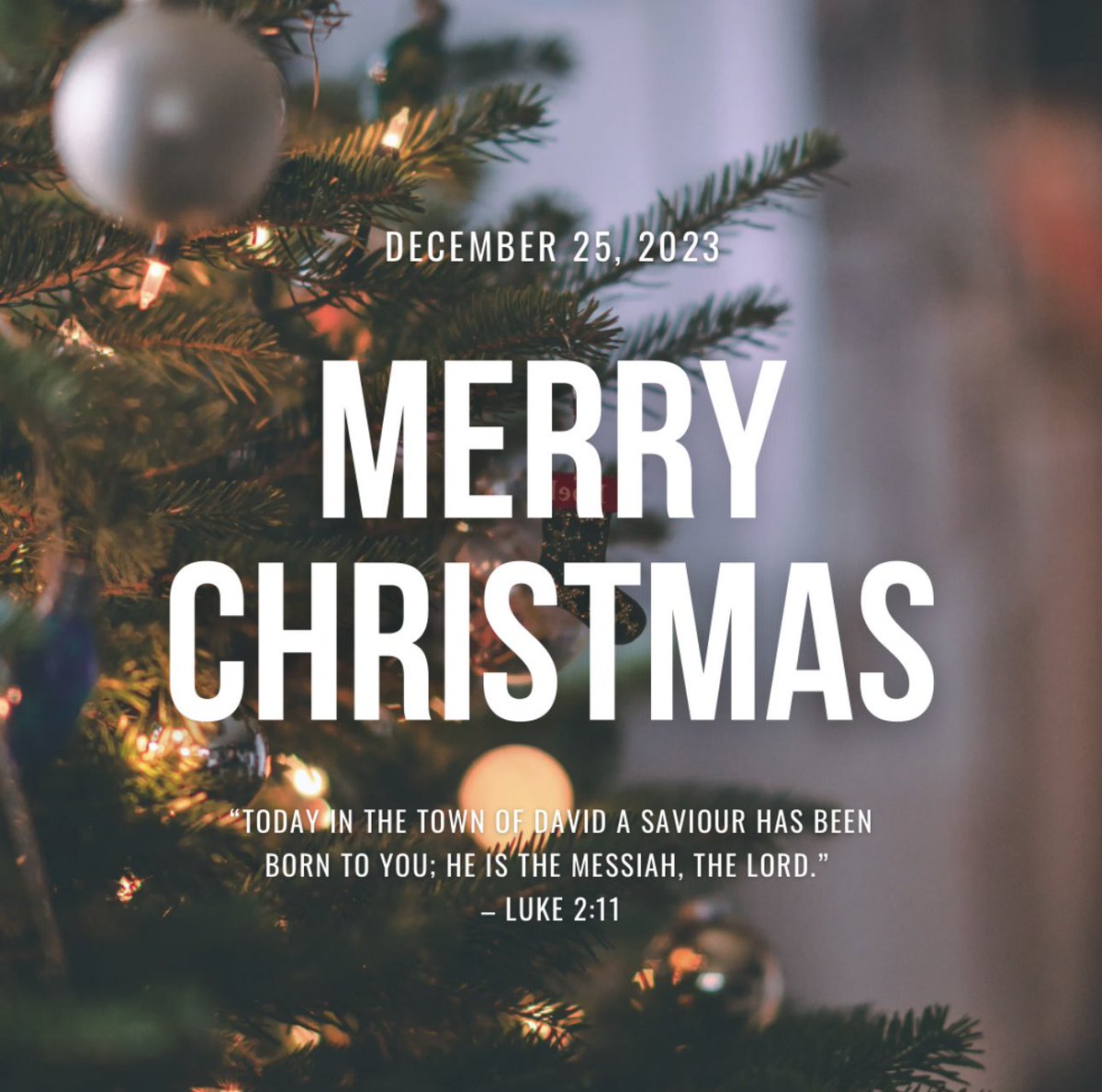 cpgarten's tweet image. 