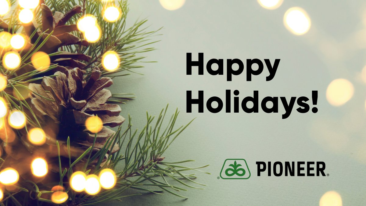 Happy Holidays from us to you! 💚 💚
