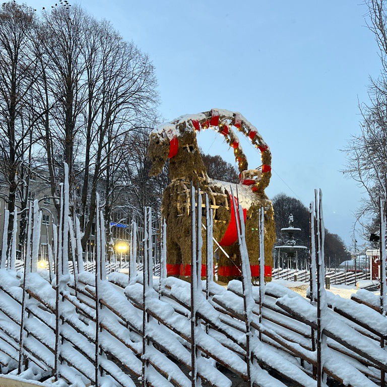 I might look a bit rough, but I made it! Merry Christmas! ⭐