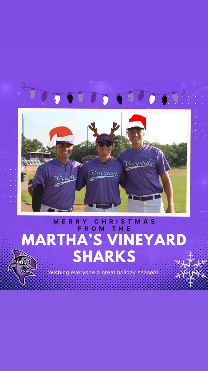 Martha’s Vineyard Sharks! tweet media
