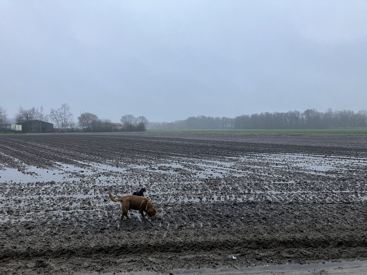 In de serie #triest #Kerstweer ………