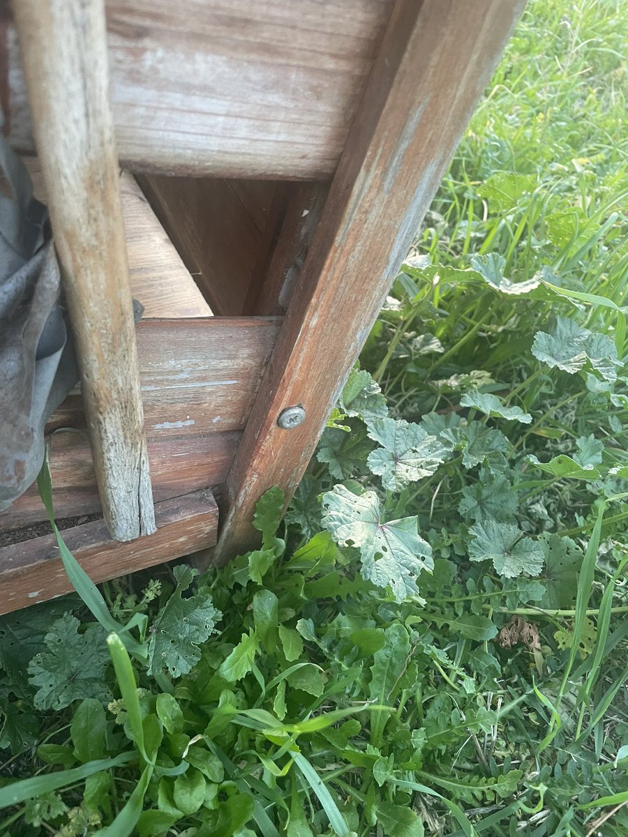 amici_da's tweet photo. Qualche settimana fa un signore ci aveva lasciato una casetta in legno in colonia..oggi ci hanno fatto il regalo di Natale..completamente distrutta..ringrazio le autorità e chi è preposto a tutelare persone e animali di questo paese sempre più nel degrado e sinonimo di inciviltà https://t.co/24IYjEur35