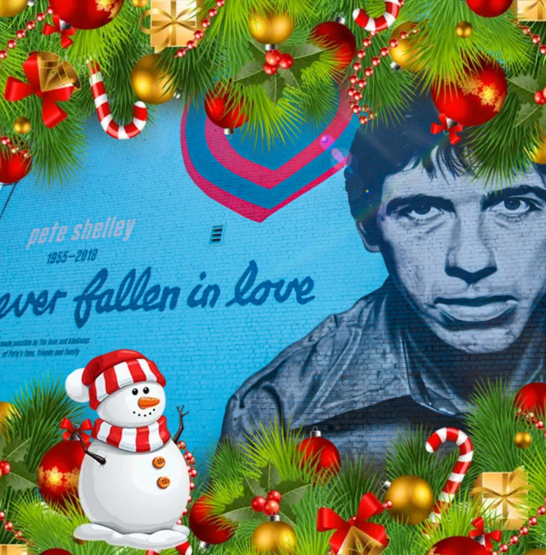 The Pete Shelley Memorial Campaign tweet media