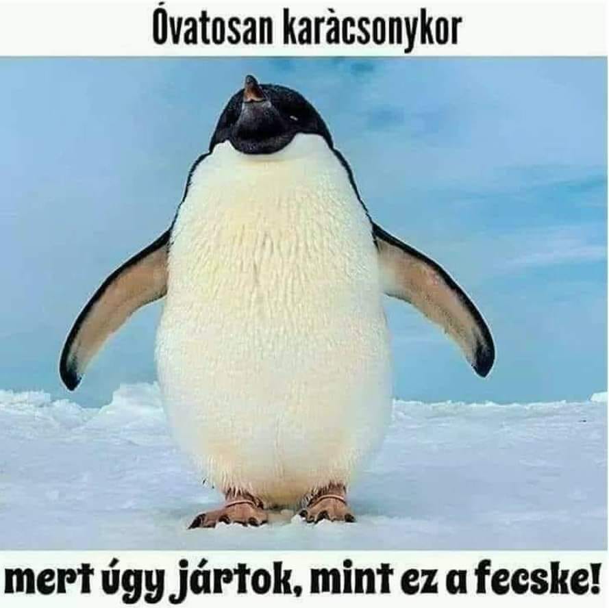 <a href="/moli0420/">Gábor Molnár</a>