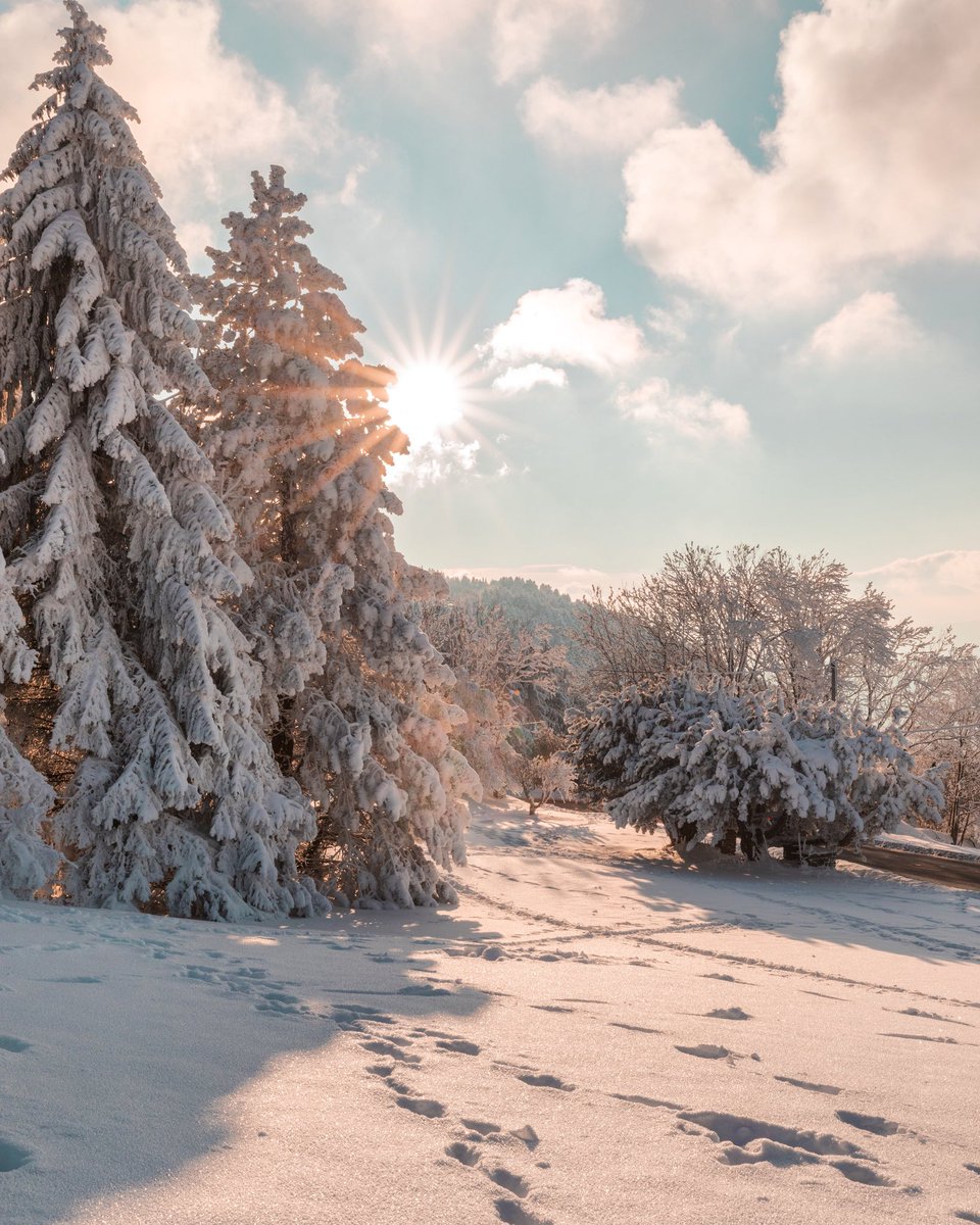 Wishing you peace and joy 🤍