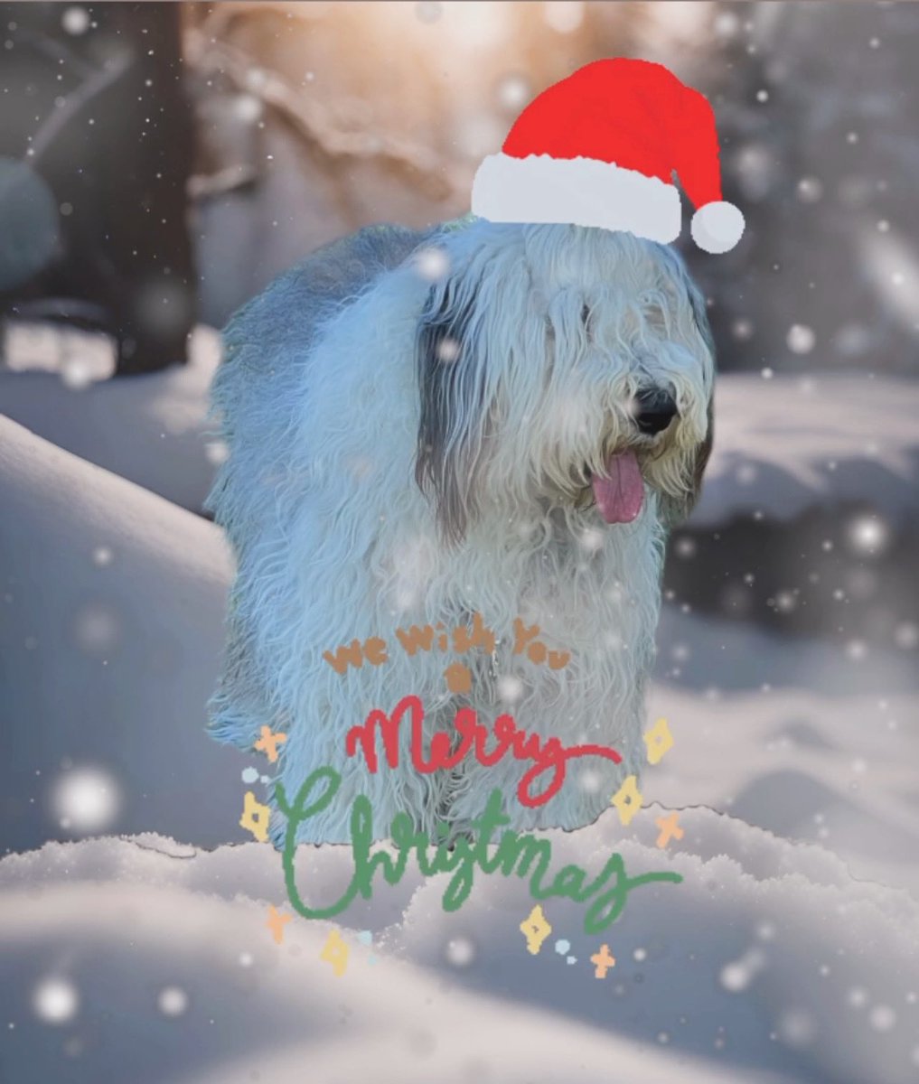 #FelicesFiestas #BoNadal #MerryChristmas2023