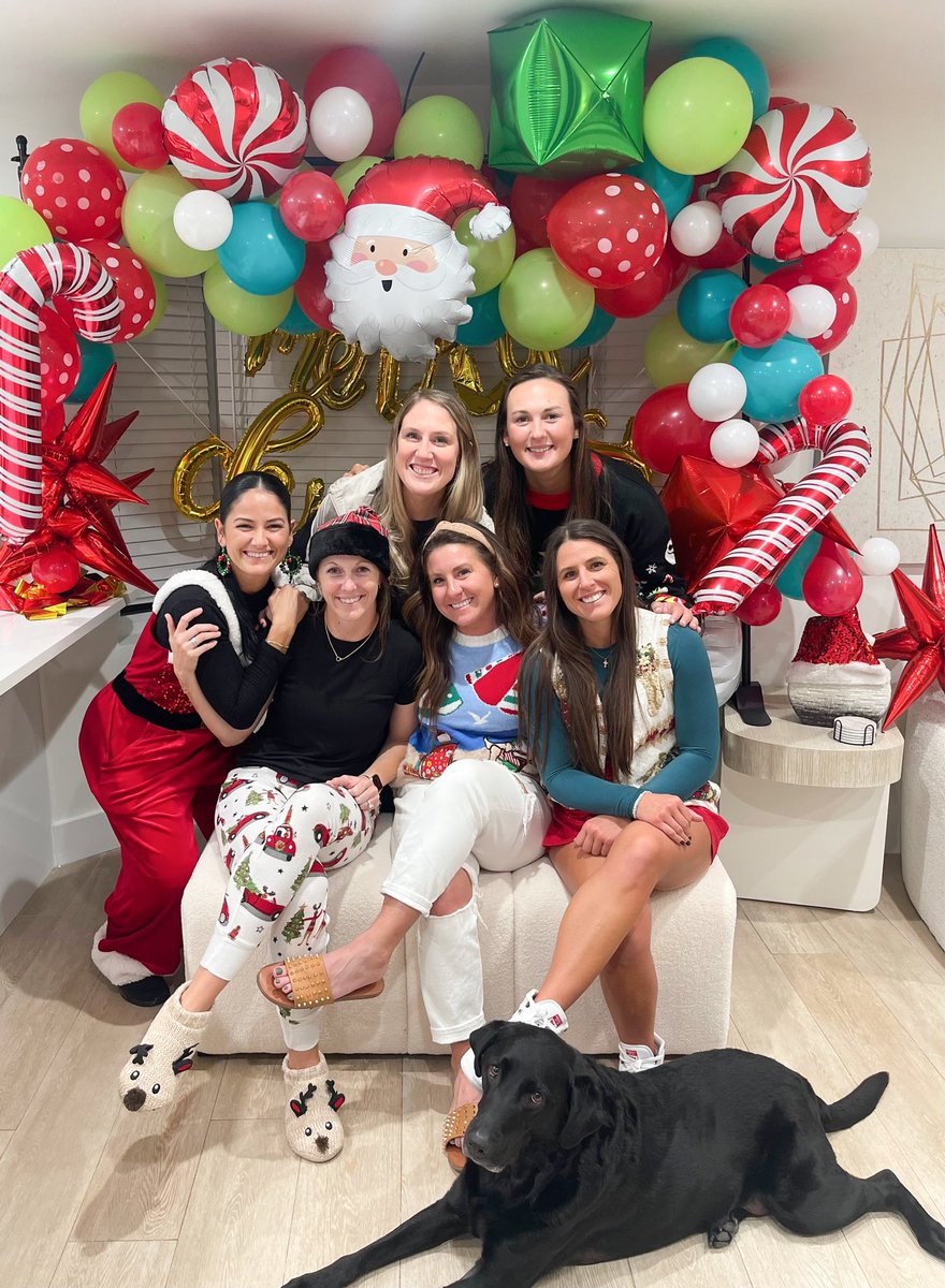 Merry Christmas from the Owls 🤍🎄🫶