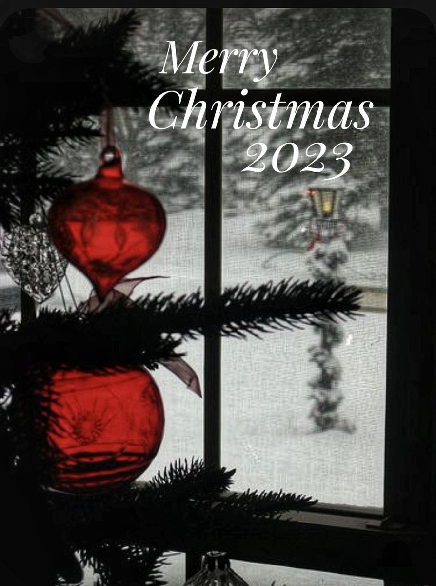 Merry Christmas, 2023..🎁🎄🎁
#Christmas2023 #Christmas #ChristmasTree #ChristmasWishes #December25 #DecemberVibes #holidayseason #holiday #HolidayVibes #HolidaySpirit