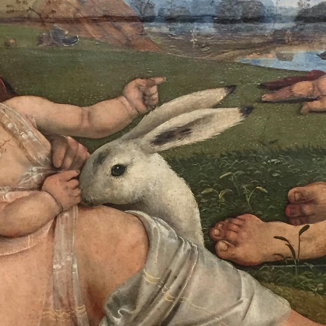 bccscl's tweet photo. 20190514001337 Piero di Cosimo, Venus Mars and Cupid (detail), ca 1409
#pierodicosimo https://t.co/kvmgl8wVQf