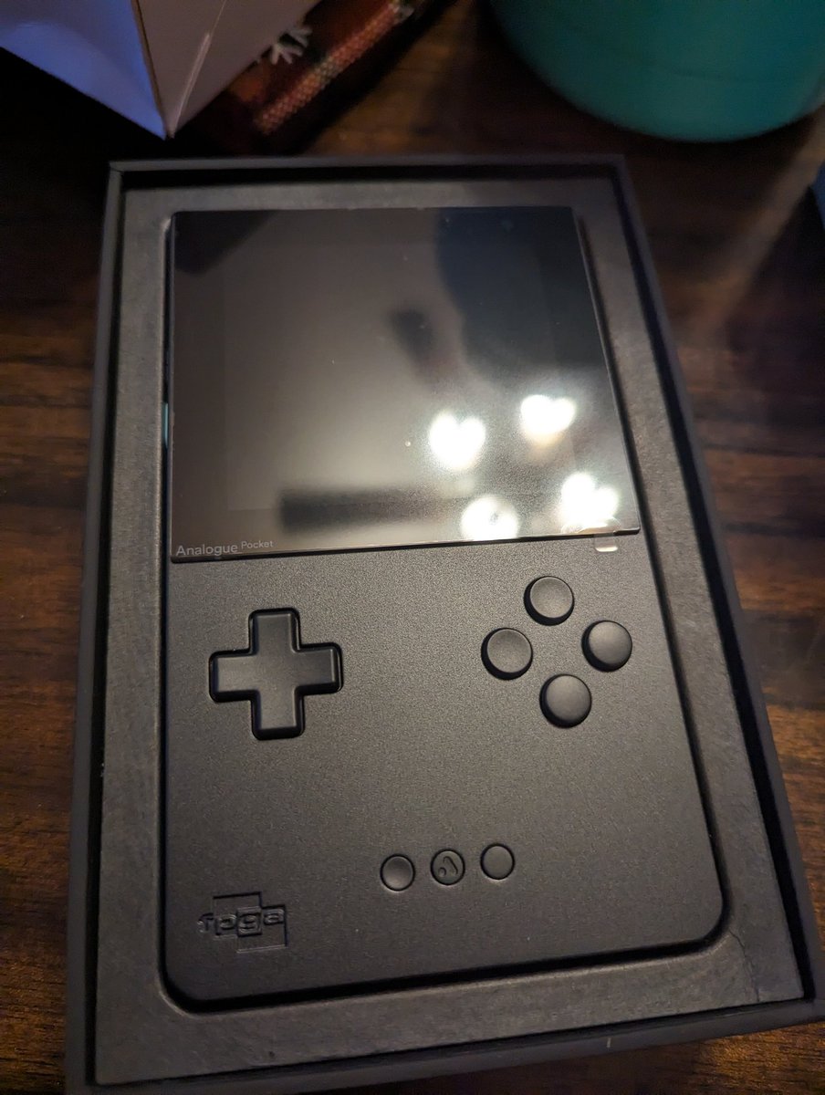 My brother got me an Analog Pocket for Christmas!