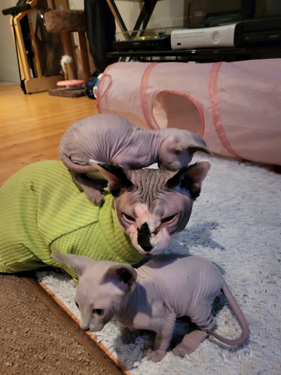 Merry Christmas, ya filthy animals.