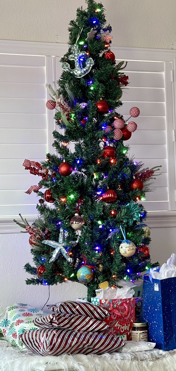 BocachicaMaria1's tweet photo. Merry Christmas to all my friends who celebrate the birthday of Christ. It was an amazing year with so many blessings. Thanks for supporting my content from the beginning #OutMyBedroomWindow with @SpaceX. Be well. #EnjoyTheBoom #1stNeighbor #StillinMyBackYard https://t.co/tjQTb4XNA2