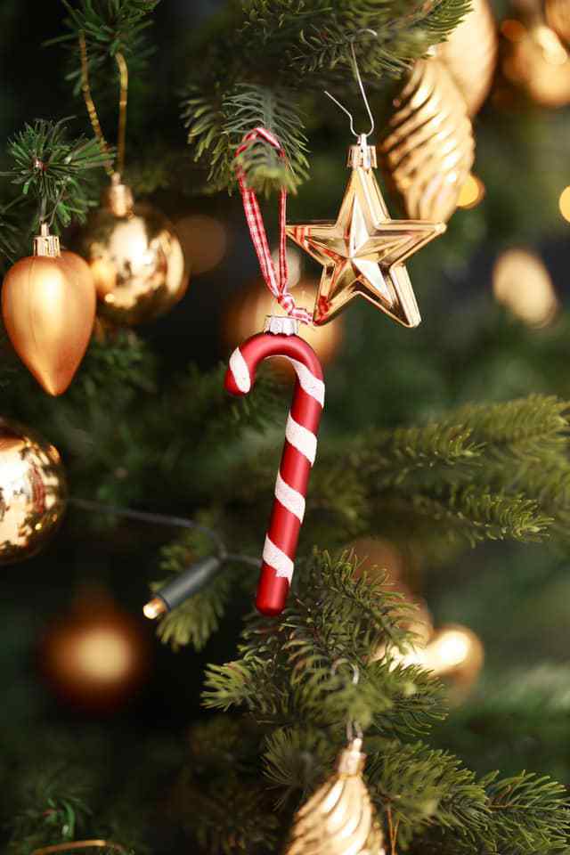 #MemoryMonday: Frohe Weihnachten euch allen! 🎄🎁 

Danke an Jan Warna, Tanja Captures, Sonja Vi und Ve Lo für die tollen Fotos! 📷🎉 

Heute ohne neues Thema – genießt die Zeit mit euren Liebsten und lasst es euch gut gehen! 🎀