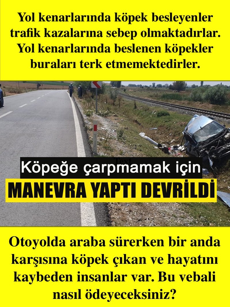 dirilisyolunda's tweet photo. Yol kenarlarında yem verilen köpekler trafik kazasına neden oluyor.

Sorumlusu köpeklerin sokakta olmasını isteyen ilkel gericiler!

Sebahattin Şirin Mansur Yavaş Alina Boz https://t.co/cEEfGUtdTd