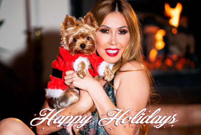 Merry Christmas and Happy Holidays ❄️☃️🎄 https://t.co/9t4RoV1MvE