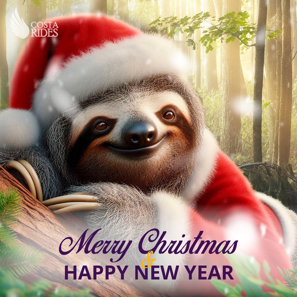 costa_rides's tweet photo. Wishing you joy, warmth, and unforgettable moments this Christmas! 🎅🏽���� Whether you’re unwrapping presents under the tropical sun or enjoying the magic of Costa Rican holiday traditions, we hope your day is filled with pura vida vibes. 🇨🇷🌴##TheKingVulture #PuraVida #CostaRica https://t.co/vOCrOcVtwj