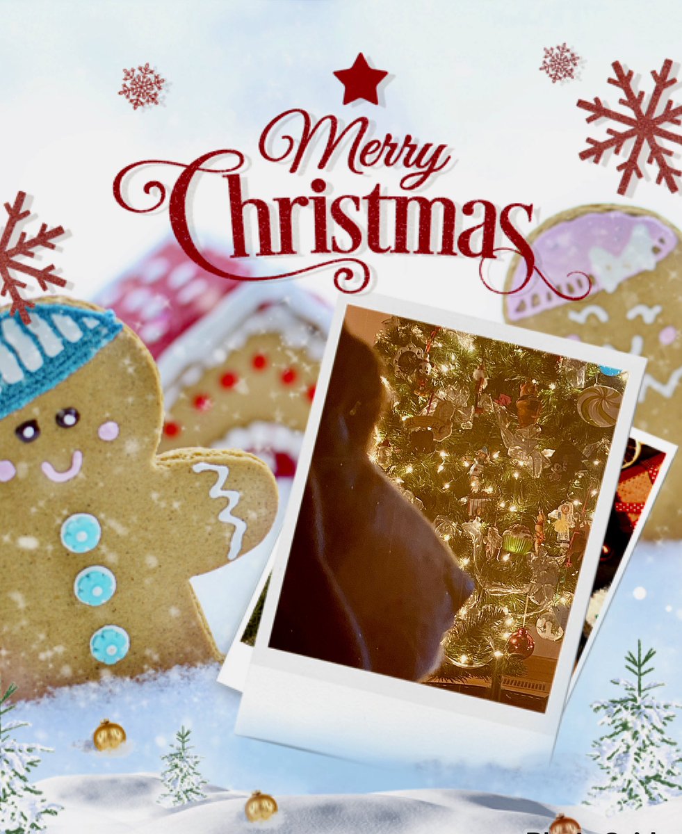 Positively Plainfield tweet media