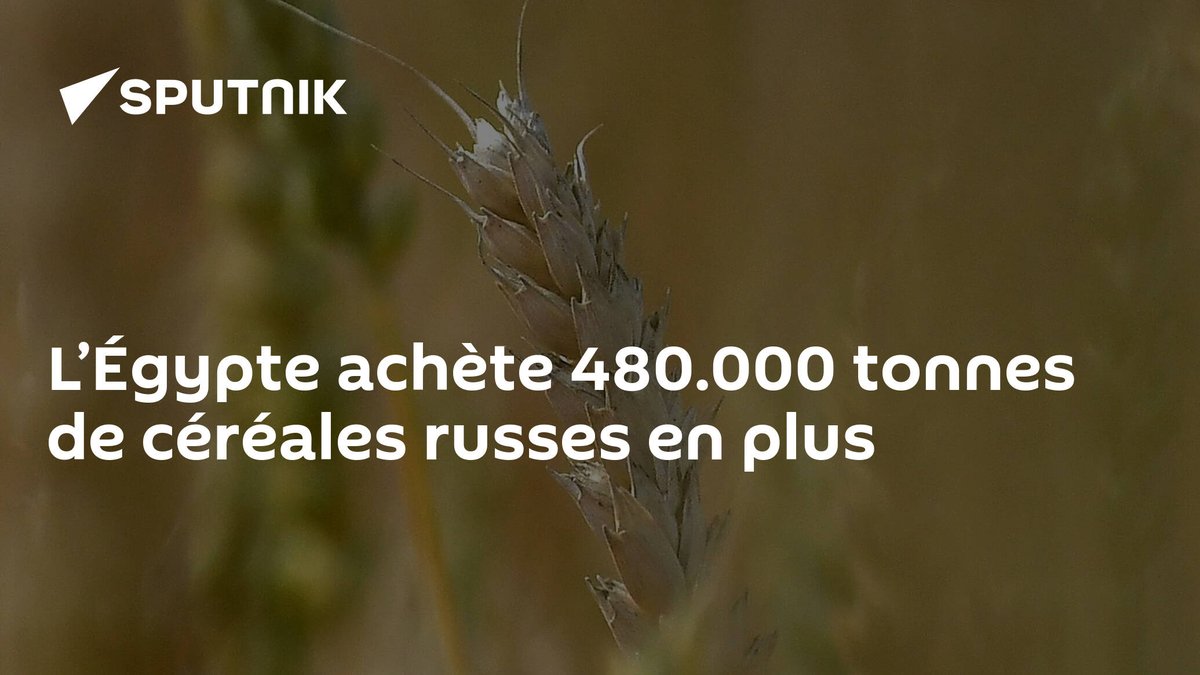 VlaPoutine's tweet image. L’Égypte achète 480.000 tonnes de céréales russes en plus fr.sputniknews.africa/20231225/legyp…