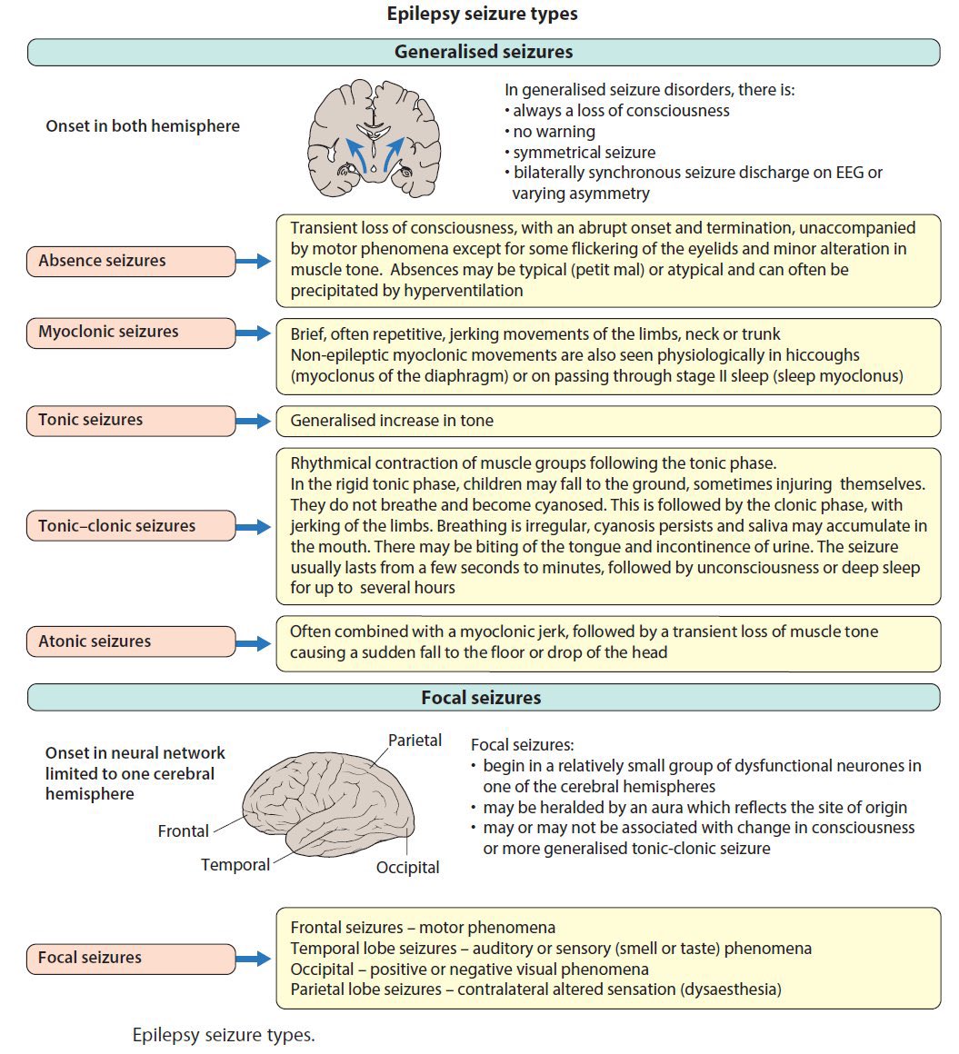 Medical_MD1's tweet photo. Recap on Seizures 🧠✨

. https://t.co/6S0CVOXFQf