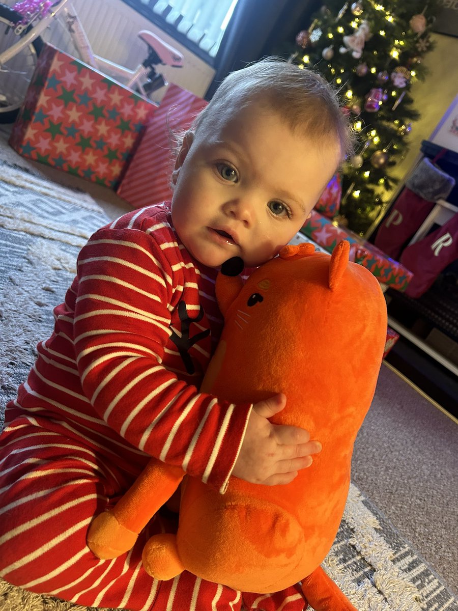 @samarchitects  when my sister was pregnant 2 years ago I ordered the Sophia The Fox Dog book and toy and I gave her it today as she’s old enough for my twin to read her it. She gave it loads of cuddles when she seen it. Have a good Xmas mate x