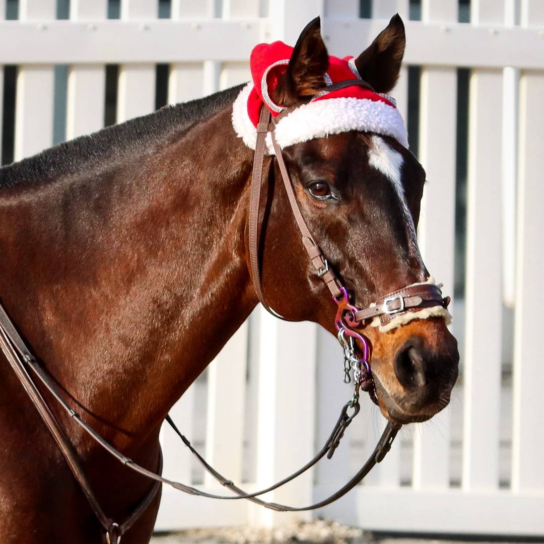 Happy Holidays from everyone at #MarylandJockeyClub!