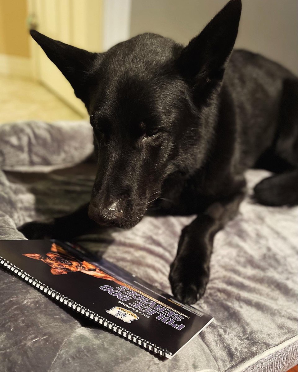 Retired PSD Jack tweet media