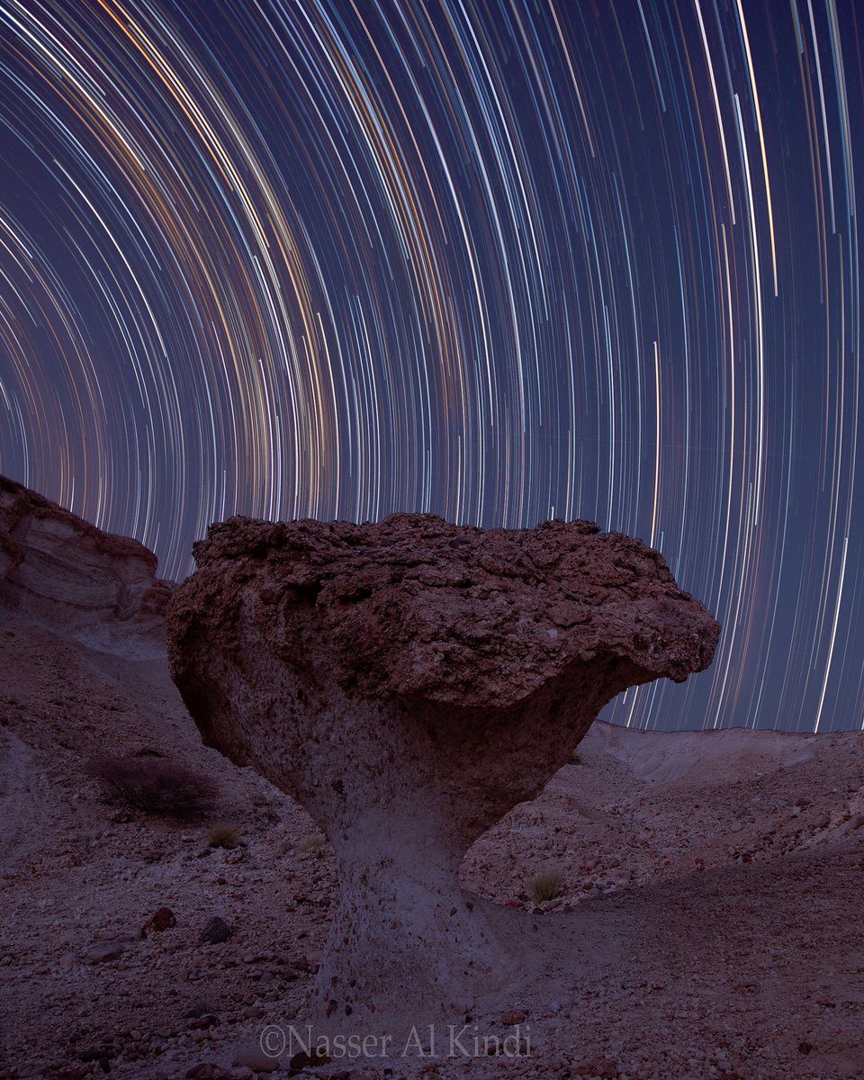 1-2
نام النهار ونامت بعده بقليل.. صوتها المنطوي على سنوات الانتظار الذي اثث حياتها تحمله رائحة الياسمين التي كانت تؤثث ليل العامرات.. الوحدة تاريخ يكتبه الصمت.. وككل الارواح الجميلة عاشت بيننا برهة- نحن الذين تكدست فينا سنون العمر..