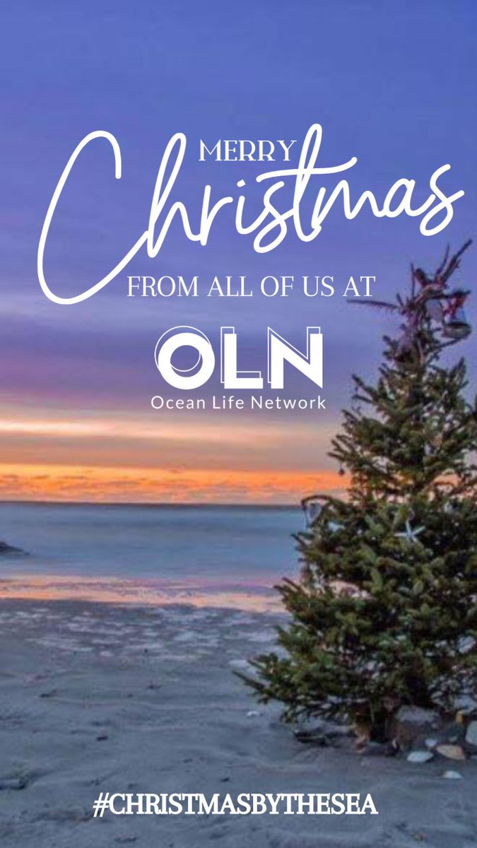 oceanlifenet's tweet image. Merry Christmas from all of us at OLN. 🎅🎄
#merrychristmas #oceanlifenetwork