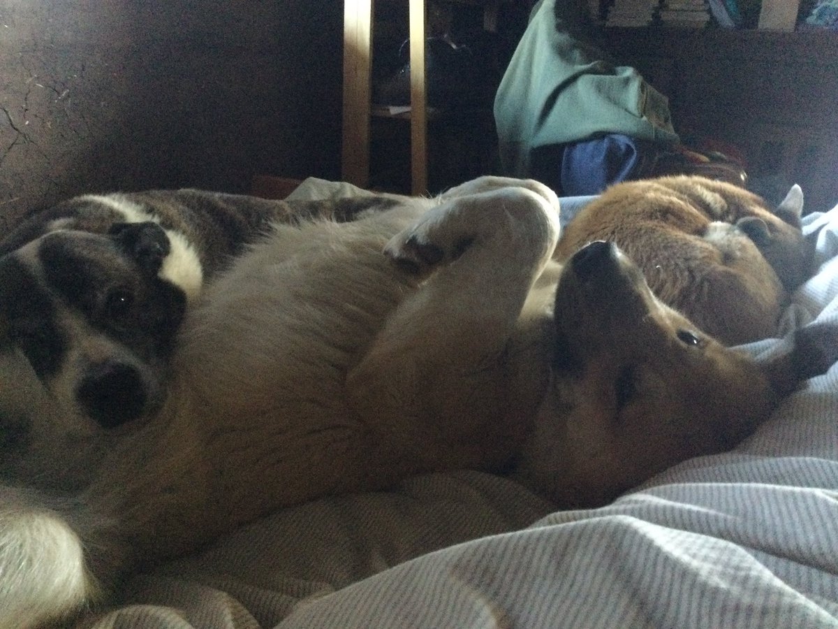 Kevin Frost had a Reset Year tweet media