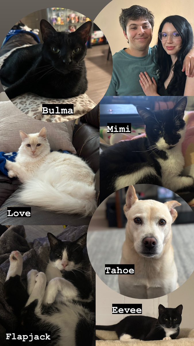 Merry Christmas from our family ♥️