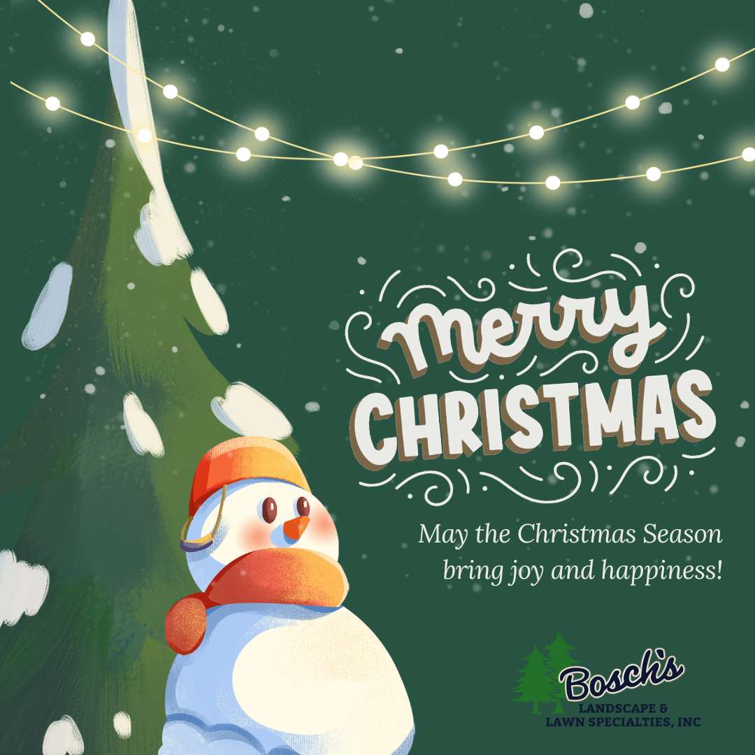 BoschLandscape's tweet photo. Merry Christmas! May your day be filled with love, laughter, and the warmth of family and friends. 🎄✨ https://t.co/eFqnwqABjw