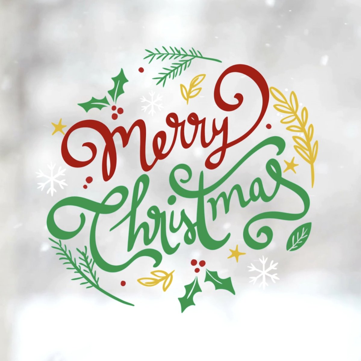 Wishing you a very Merry Christmas! 🎄✨

#MerryChristmas #RocklandCounty