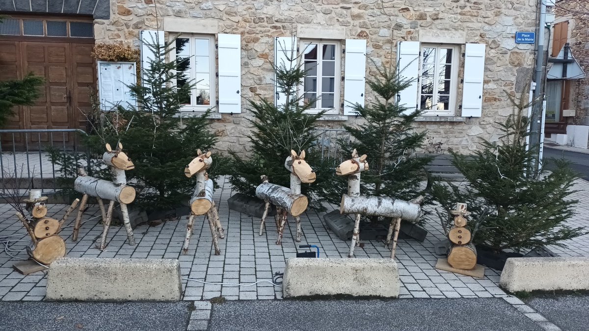 R_Hugon_43's tweet photo. Avec dans le village le majestueux #sapin de Noël #Pinols #Auvergne #HauteLoire #Noel2023 Image d'une tradition forestière ! https://t.co/51n5jaKUUb