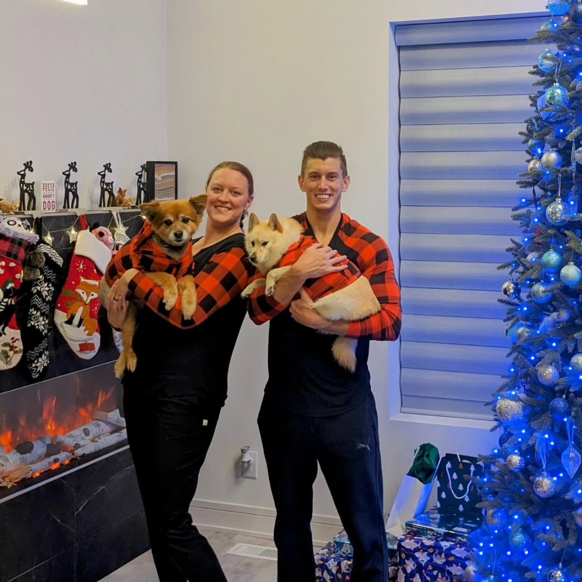 them2dogs's tweet photo. #merrychristmas🎄 and #happyholidays from these little ones! Toys were a hit as always! #merryandbright #dogsoftwitter #dogsofx #dogsnuggles https://t.co/J5nT11DSS0