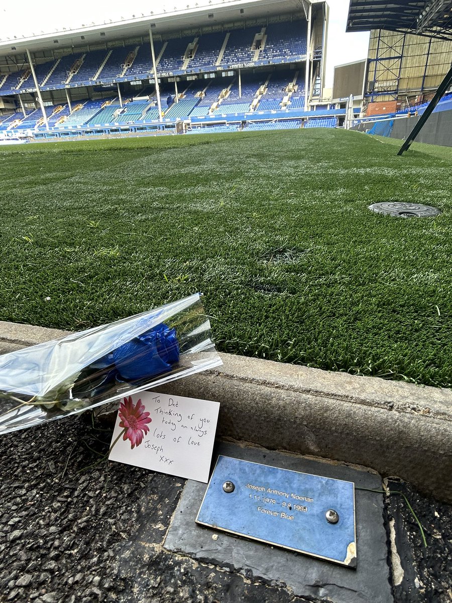 Joseph Noonan tweet media