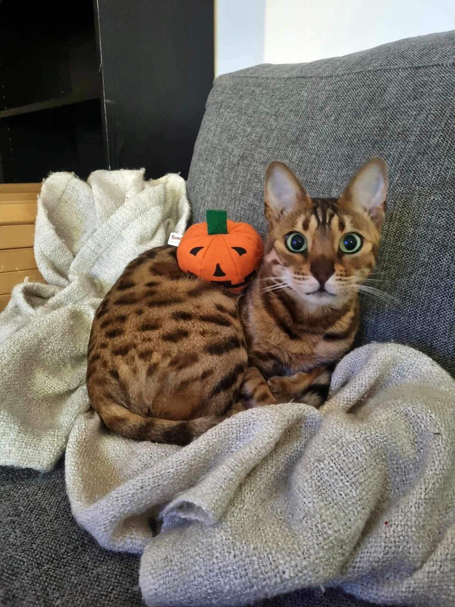 Peter Eriksson tweet media