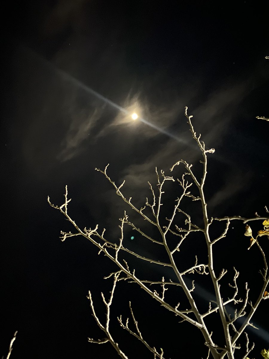 nature_aesthet's tweet photo. Moon 🌕 
#moon #moonlight #moonlover #pluviophile #moonphotography https://t.co/1CaujEGnQY