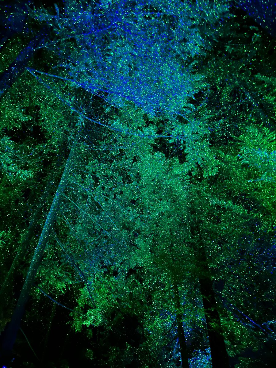 Happy Holidays everyone. And now for some #LiDAR to please the senses. Have yourself a mappy little Christmas time! ❤️