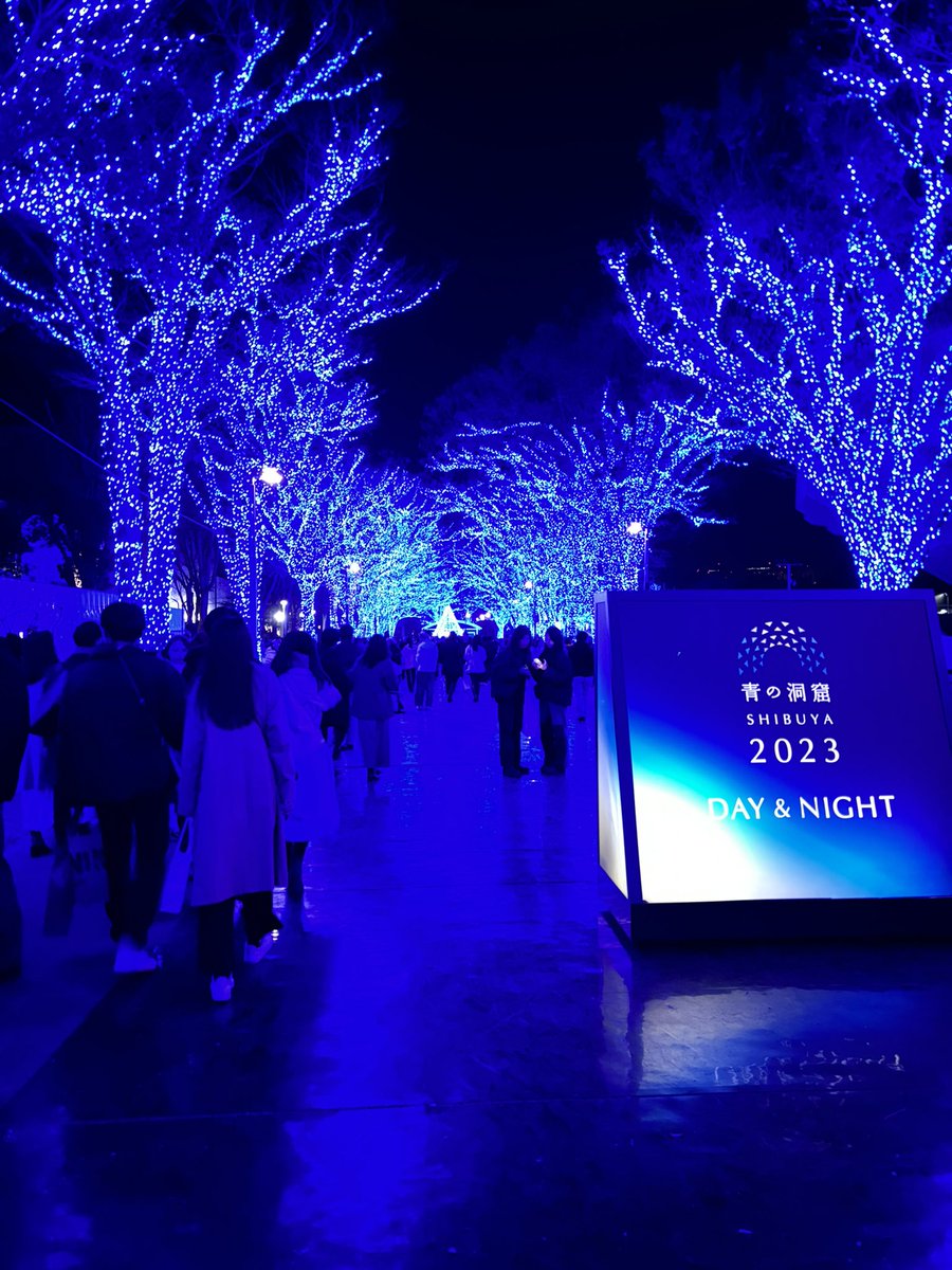 leeeseeeou's tweet photo. クリスマスもう終わってしまいましたが、青の洞窟行ってきました〜
写真には写ってませんがもちろんイランイと一緒に🐯 https://t.co/p2HEqItjKB